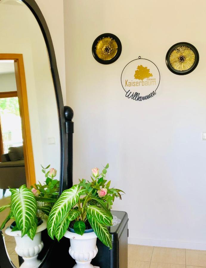 Ferienhaus Kaiserbaum Illmitz Extérieur photo